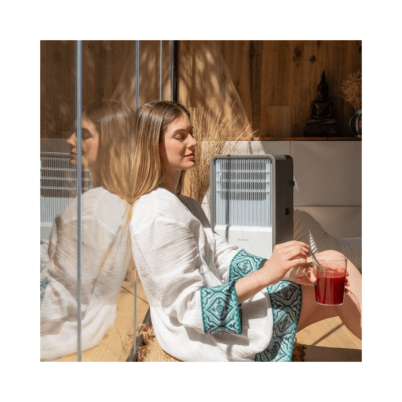 Kipozi Alisador De Cabelo HS139