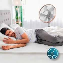 Ventilador Cecotec EnergySilence 1030 SmartExtreme