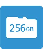 SD Card 256GB