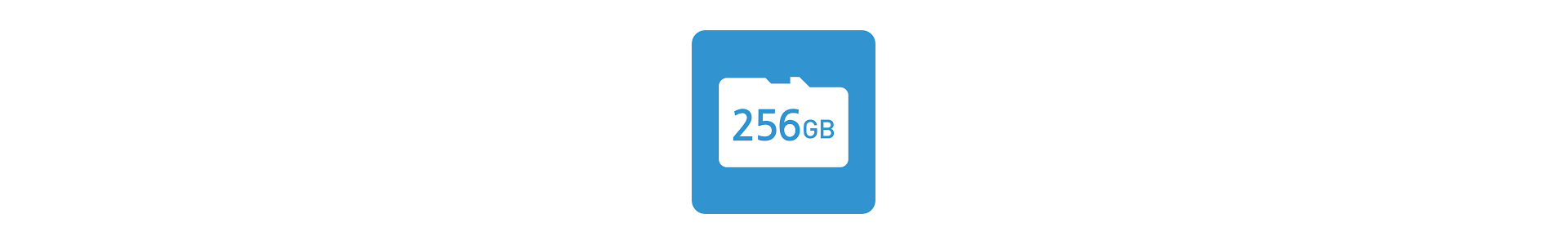 SD Card 256GB